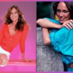 Catherine Bach Net Worth A Comprehensive Overview