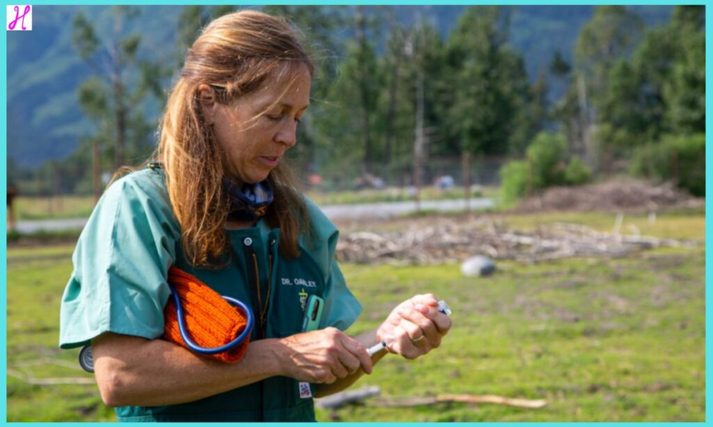 Dr Oakley, Yukon Vet Returns for a Final Season