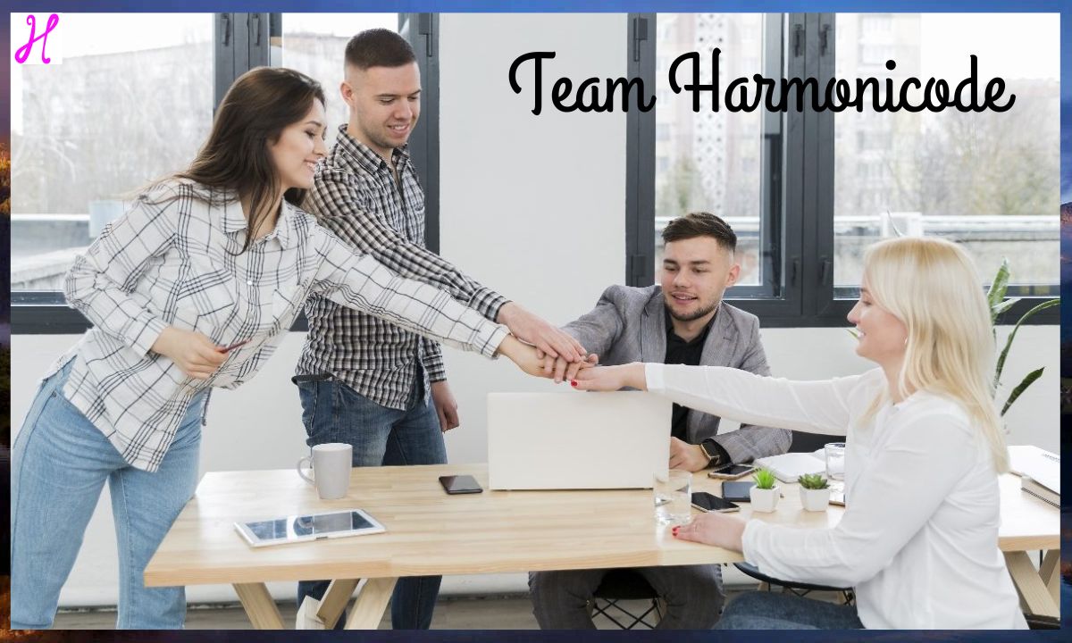 Team Harmonicode: The Secret to Effective Collaboration